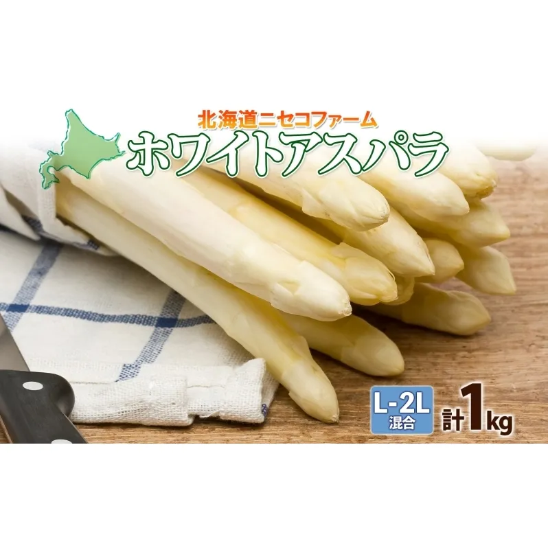 北海道産 アスパラガス ホワイト 約 1kg L - 2L サイズ 混合 アスパラ 旬 朝採り 新鮮 お取り寄せ 産地直送 産直 野菜 農作物 詰め合わせ 国産 北海道 倶知安町 