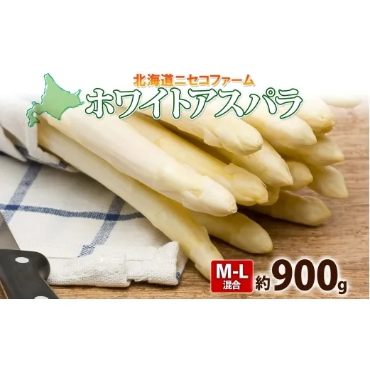 【 2026年 発送 】 北海道産 アスパラガス ホワイト 約 900g  L - 2L サイズ 混合 アスパラ 旬 朝採り 新鮮 お取り寄せ 産地直送 産直 野菜 農作物 詰め合わせ 国産 北海道 倶知安町