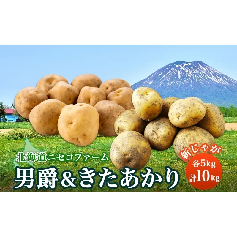北海道産 じゃがいも 男爵 きたあかり 食べ比べ 10kg 規格外 訳あり S-3L サイズ混合 新じゃが 芋 ジャガイモ いも 新鮮 野菜 農作物 お取り寄せ 男しゃく 馬鈴薯 ニセコファーム 送料無料