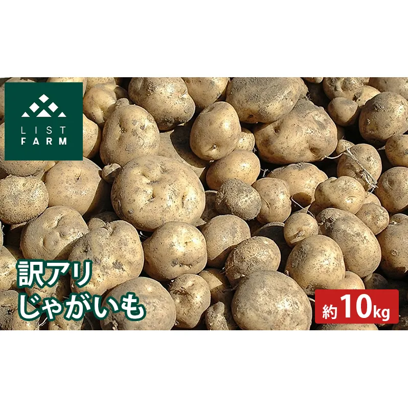 【 訳アリ 】 じゃがいも 約 10kg 男爵 or キタカムイ リストファーム サイズ 混合 馬鈴薯 芋 ポテト イモ 産地直送 野菜