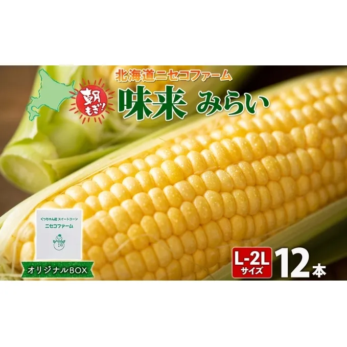 【 2026年 先行予約 】 北海道産 とうもろこし 味来 計12本 L-2L サイズ混合 大きめ みらい 旬 朝採り 新鮮 トウモロコシ 甘い 夏野菜 ハウス栽培 ハウス とうきび お取り寄せ 産地直送 野菜 しりべしや 送料無料