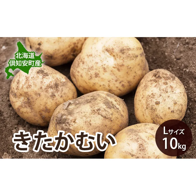 【 2026年 出荷 先行予約 】 北海道 倶知安 産 じゃがいも  きたかむい  L サイズ 10kg 馬鈴薯 いも 芋 グリーンアースファーム 農家 直送 野菜 産地直送