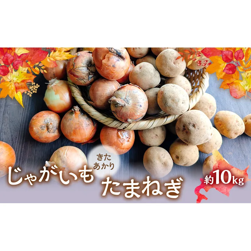 【2026年発送】 オーガニック じゃがたま BOX 約10kg 有機栽培 じゃがいも 玉ねぎ 北海道 倶知安 ニセコグリーンファーム