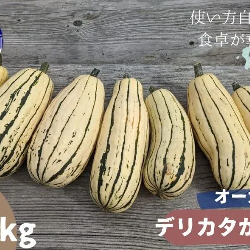 [2026年発送] オーガニック かぼちゃ デリカタ BOX 約5kg 有機栽培 南瓜 カボチャ 北海道 倶知安 ニセコグリーンファーム