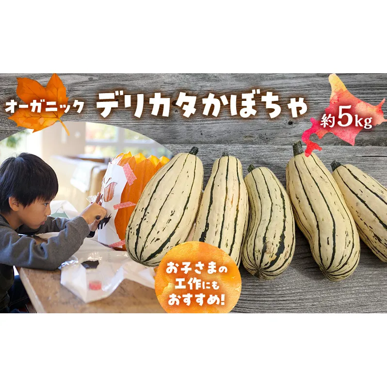 【2026年発送】 オーガニック かぼちゃ デリカタ BOX 約5kg 有機栽培 南瓜 カボチャ 北海道 倶知安 ニセコグリーンファーム