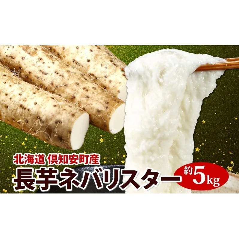 [ 2026年 出荷 ] 北海道 倶知安町産 ネバリスター 計5kg 北海道産 芋 ながいも 長芋 とろろ 新鮮 フレッシュ 野菜 農作物 産直 山芋 大和芋 イチョウ芋 麦とろ 山かけ おつまみ グリーンアースファーム