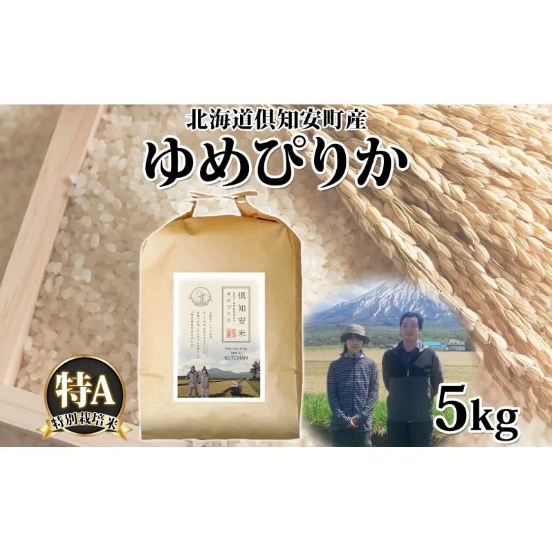 【2026年4月出荷】北海道 倶知安町産 ゆめぴりか 特別栽培米 精米 5kg 米 特A 白米 お米 道産米 ブランド米 契約農家 ごはん 炊き立て ご飯 もちもち  国産 人気 お取り寄せ ギフト 贈り物 備蓄 保存 おまとめ買い ショクレン