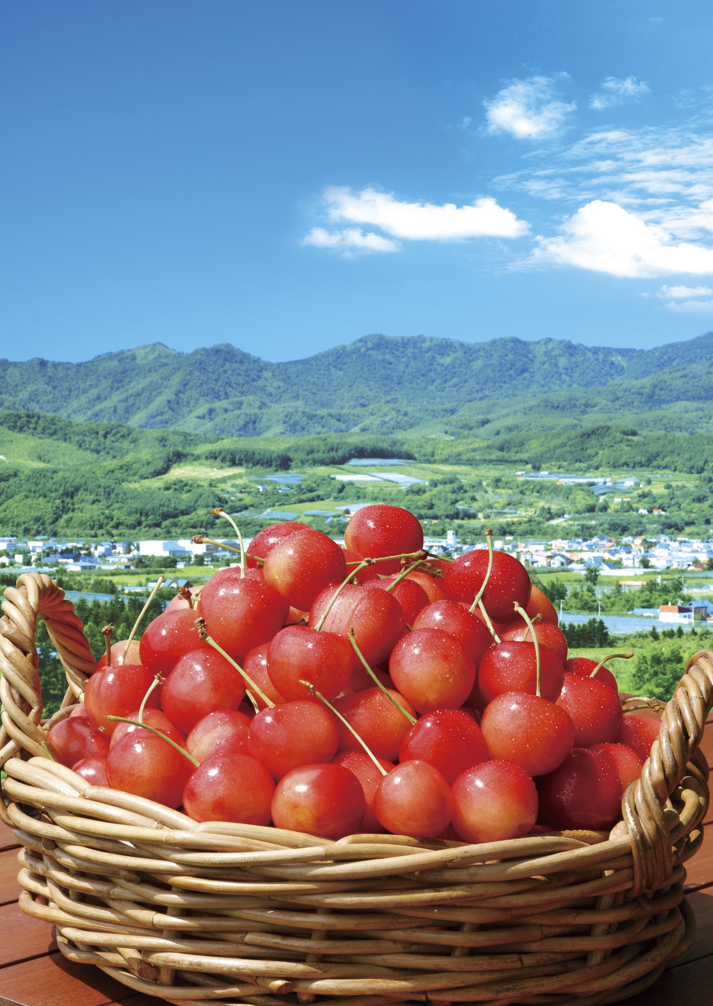 北海道仁木町