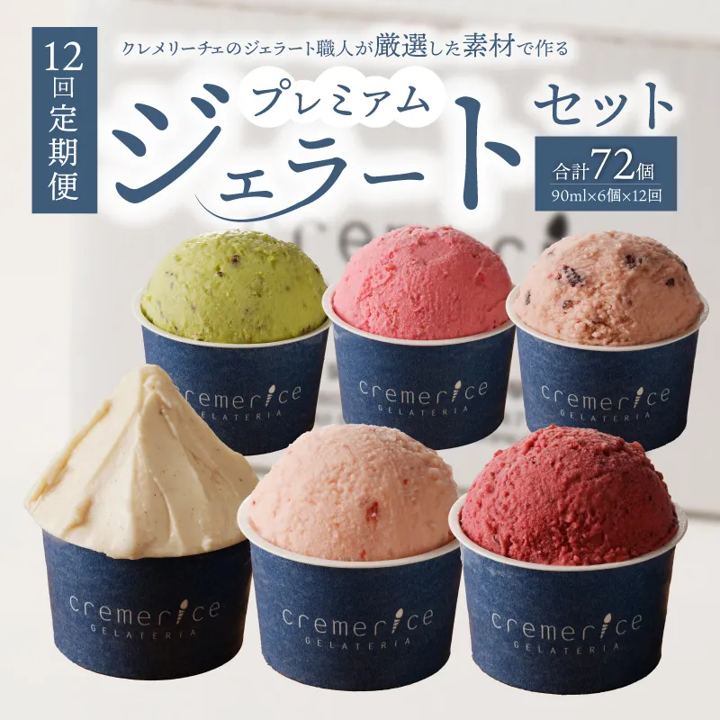 【定期便12回】プレミアムジェラートセット合計72個 90ml×6個×12回 北海道ギフト_ Y032-0012