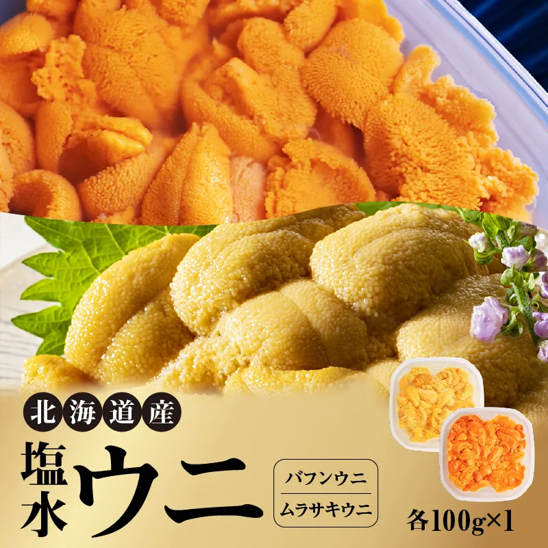 北海道産 世壱屋塩水ウニ（ムラサキウニ＆バフンウニ）各100g_Y038-0142