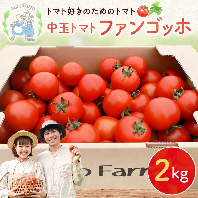 【先行予約:2026年7月下旬頃より発送】NicoFarm ファンゴッホ(中玉トマト)2Kg_Y124-0018