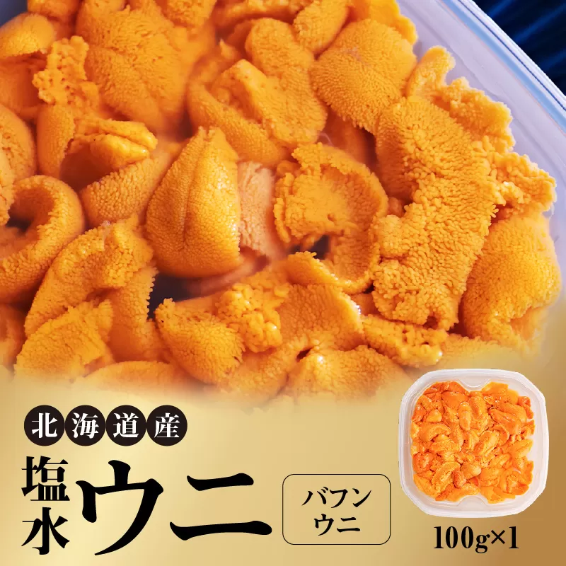【先行受付】北海道産世壱屋塩水ウニ（バフンウニ）100g_Y038-0140
