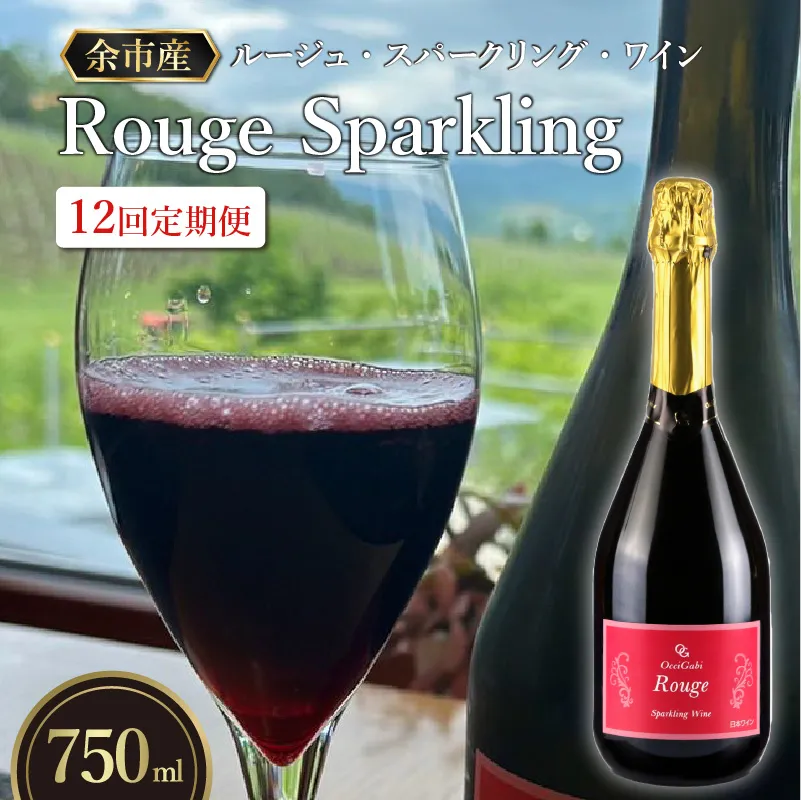 【全12回定期】リピーター続出！オチガビ・ルージュ・スパークリング・ワイン毎月お届け_Y012-0091