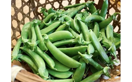 【先行予約：2026年6月上旬頃より発送】甘くてシャキシャキ！ おやつ感覚で食べられる スナップエンドウ 3Kg えんどう豆 夏野菜 おつまみ お弁当 旬の野菜 産地直送 NicoFarm_Y124-0050