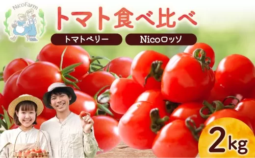 【先行予約2026年7月】子供も大好き！フルーツのように甘いミニトマト2種 各1kg トマトベリー & Nicoロッソ_Y124-0021