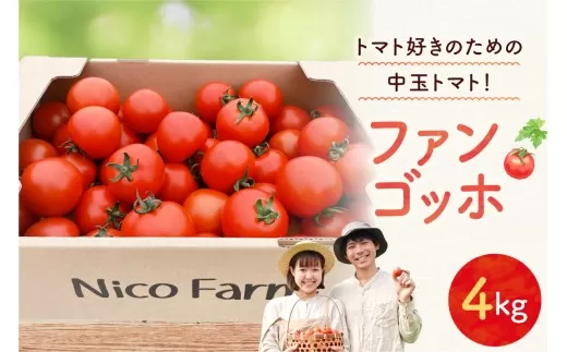 【先行予約2026年7月】トマト好き必見！食べ応え抜群！ファンゴッホ 4kg 肉厚中玉トマト 酸味と甘みのバランス_Y124-0027
