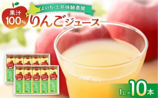 北海道余市町産 太陽の恵み 果汁100% りんごジュース  1L×10本入り 有機栽培 ストレート果汁_Y127-0013