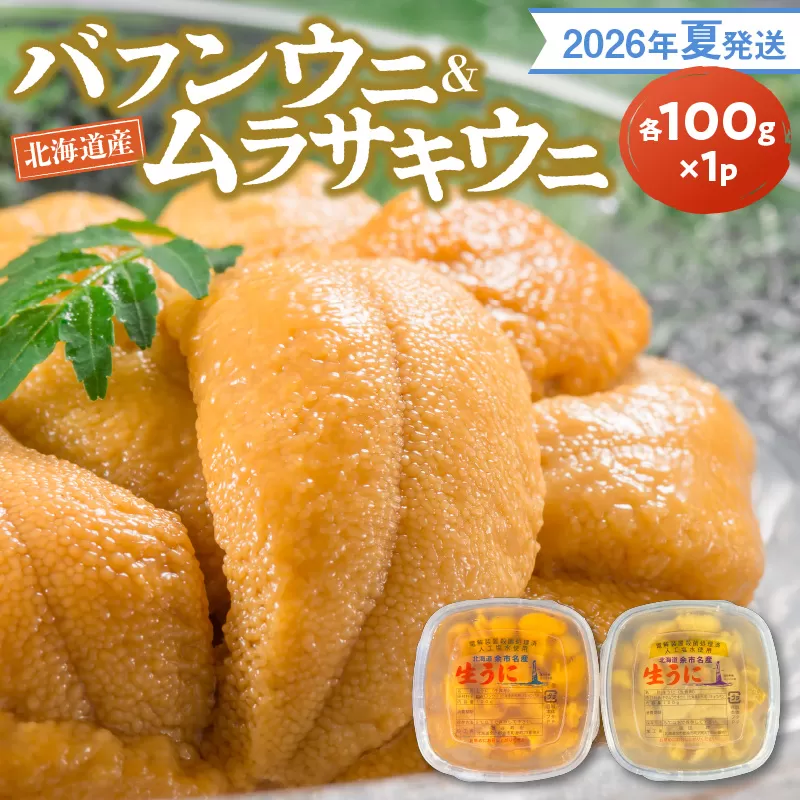 【2026年夏発送】塩水ウニ【バフンウニ＆ムラサキウニ】各100g×1パック 北海道余市町産_Y037-0342