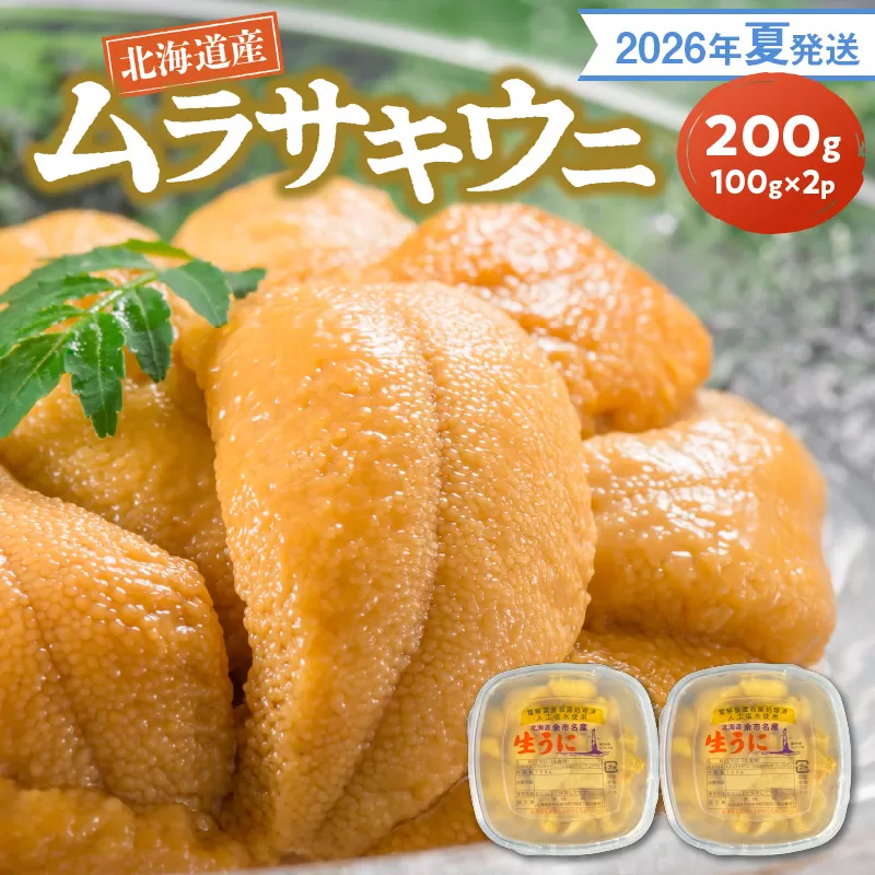 【2026年夏発送】塩水ウニ【ムラサキウニ】 100g×2パック 計200g 北海道余市町産_Y037-0344