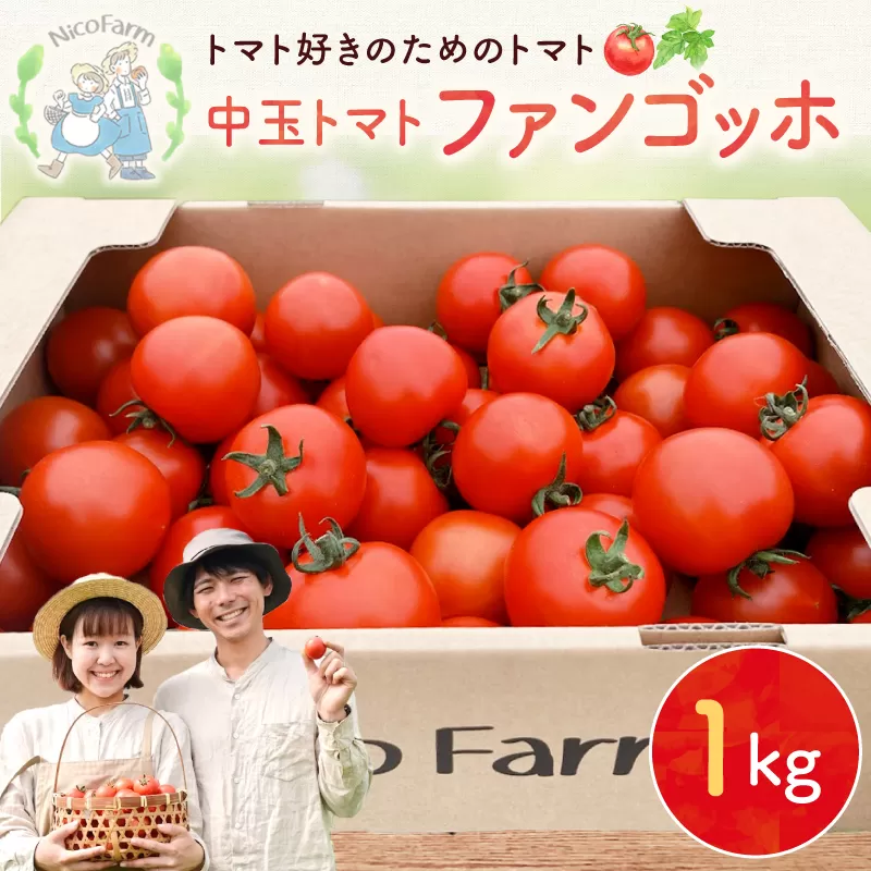 【先行予約：2026年7月下旬頃より発送】NicoFarm ファンゴッホ（中玉トマト）1Kg_Y124-0017