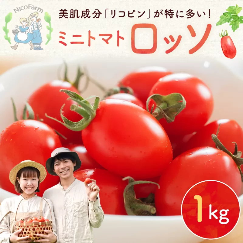 【先行予約：2026年7月下旬頃より発送】NicoFarm Nicoロッソ（ミニトマト）1Kg_Y124-0014
