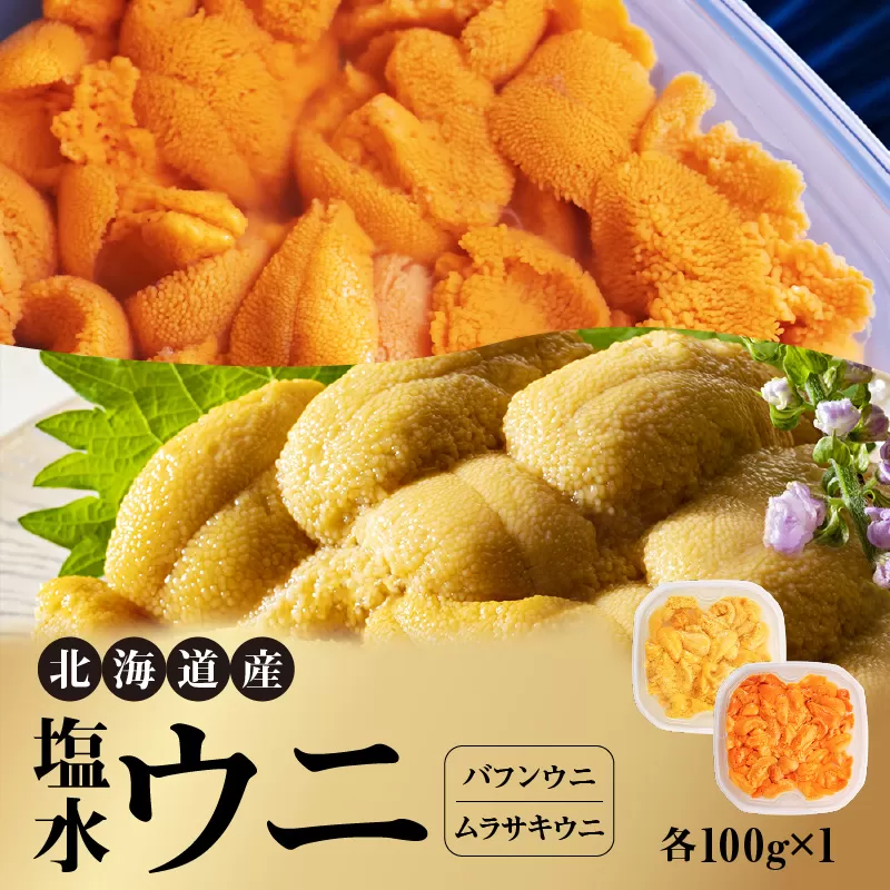 北海道産 世壱屋塩水ウニ（ムラサキウニ＆バフンウニ）各100g_Y038-0142