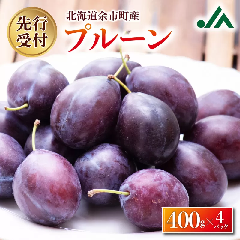 【2026年9月上旬発送分先行予約】プルーン 400g×4パック_Y010-0526