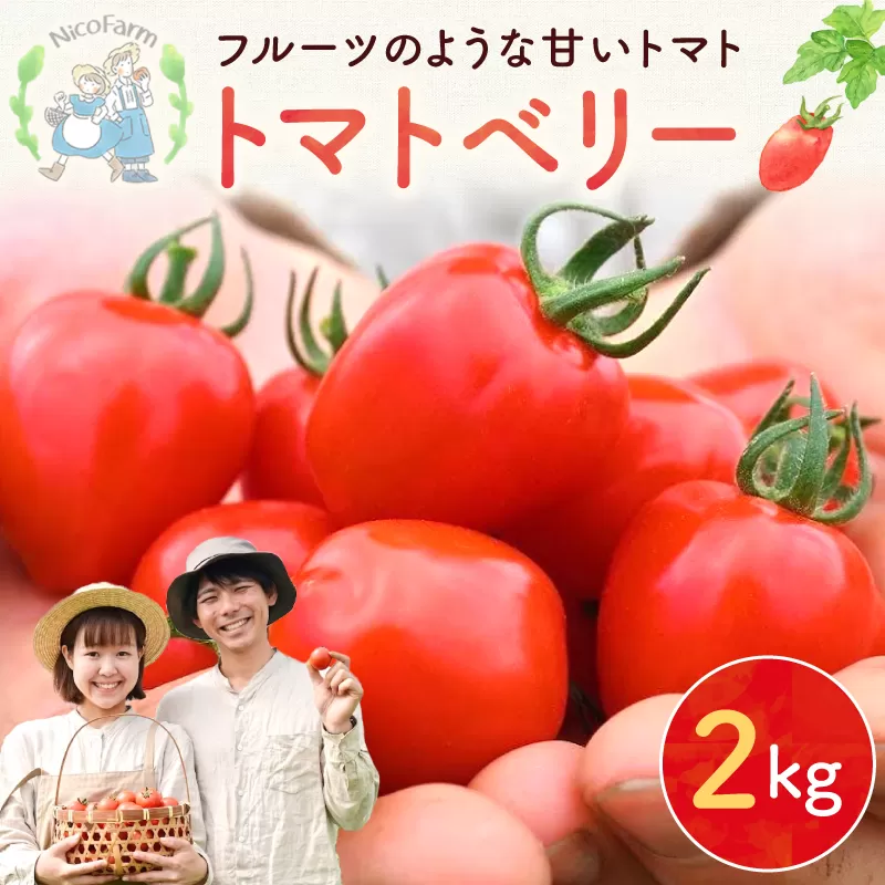 【先行予約：2026年7月下旬頃より発送】NicoFarm トマトベリー（ミニトマト）2Kg_Y124-0012