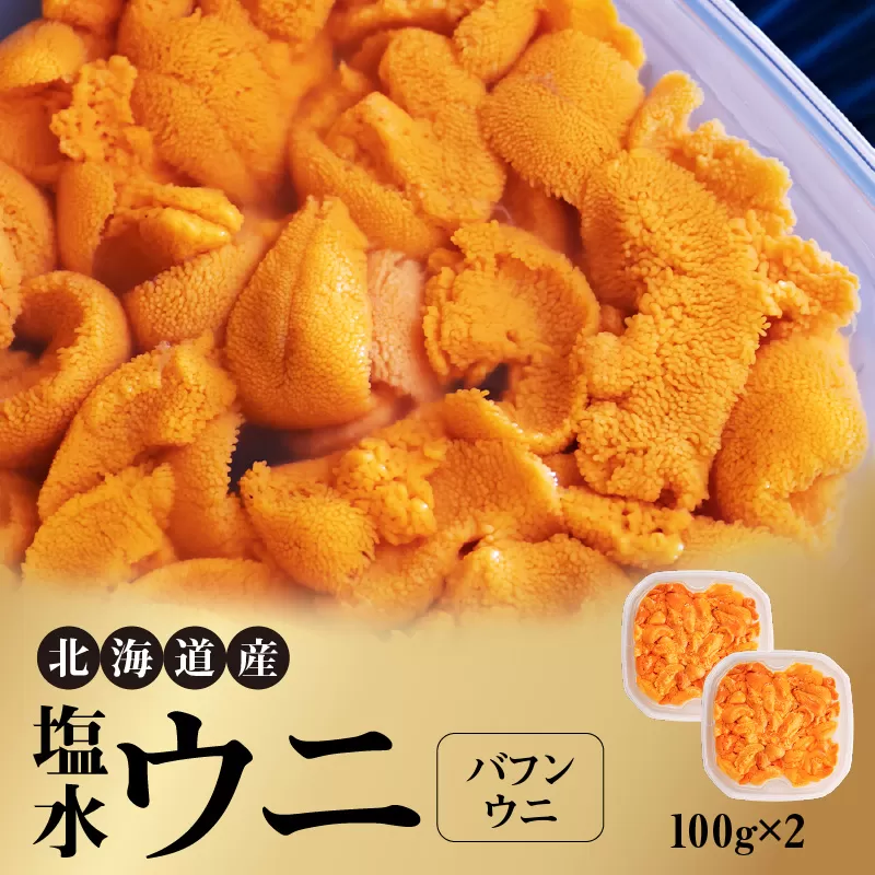 北海道産 世壱屋塩水ウニ（バフンウニ）200g_Y038-0141