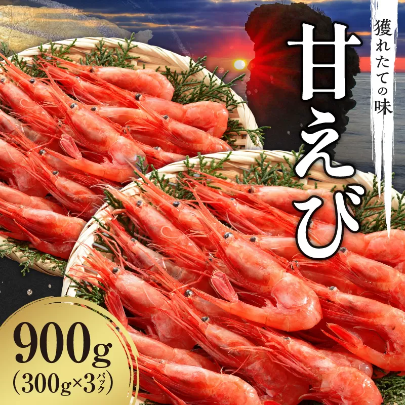 【獲れたての味！】甘エビ３００ｇ×３パックセット_Y022-0024