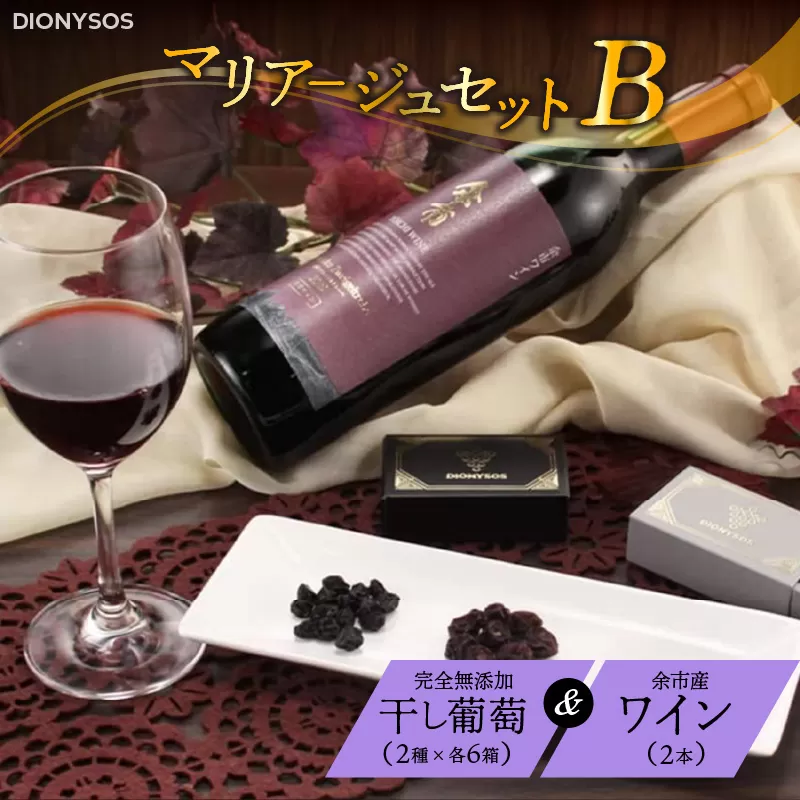 【ギフトボックス】余市産完全無添加干し葡萄と余市産セレクトワインのマリアージュセット 〜B〜_Y050-0026