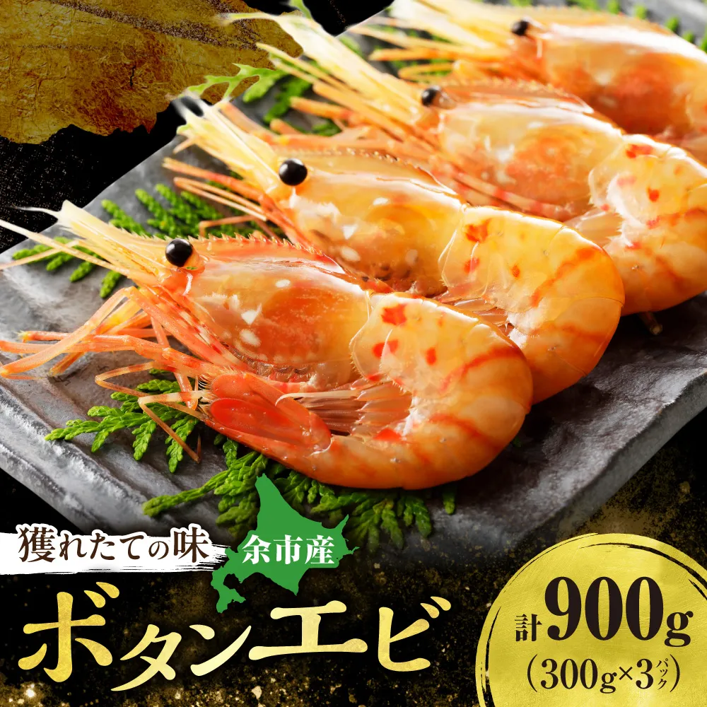 獲れたての味!北海道余市産 ボタンエビ 900g 300g×3パック 地元漁港直送 急速超低温冷凍 獲れたて 刺身用 生食可 国産 天然 牡丹海老 プリプリ食感 小分け 海の宝石 有頭 送料無料_Y022-0026