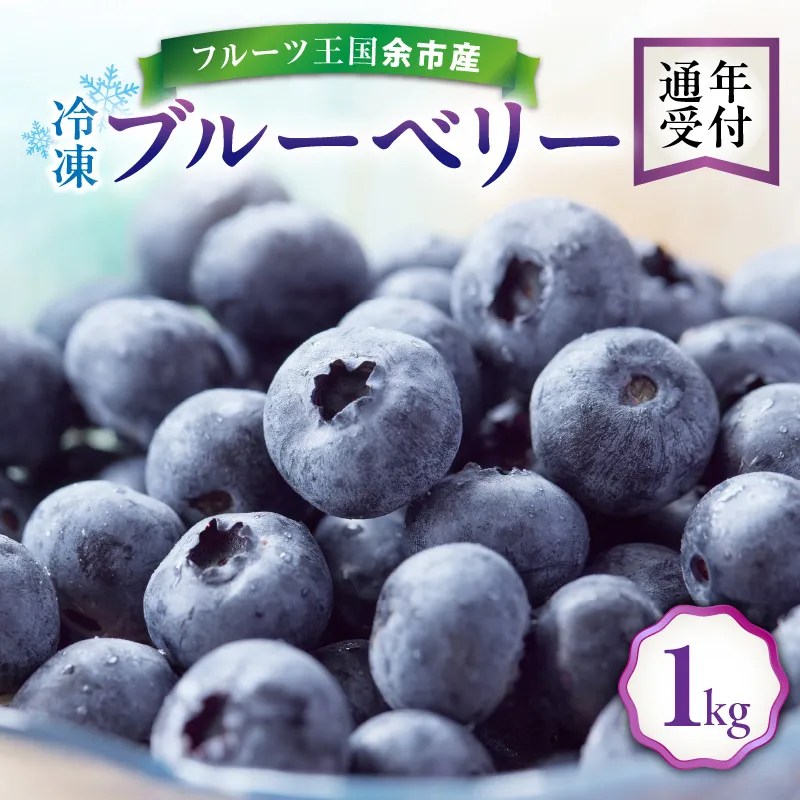 フルーツ王国余市産 冷凍ブルーベリー 1kg 【ニトリ観光果樹園】_Y074-0149