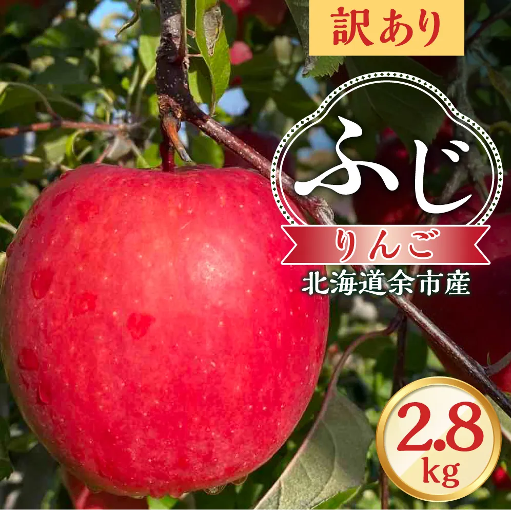 【先行予約:2026年12月上旬より発送】訳アリ りんご(ふじ)2.8kg【北海道余市町産】_Y103-0073