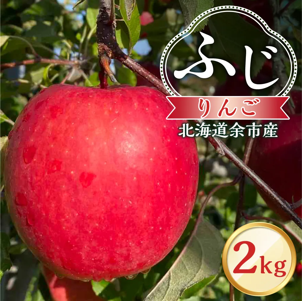 【先行予約：2026年12月上旬より発送】りんご（ふじ）2kg【北海道余市町産】_Y103-0077