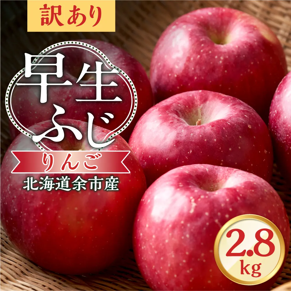 【先行予約:2026年10月中旬より発送】訳アリ りんご(早生ふじ)2.8kg【北海道余市町産】_Y103-0091