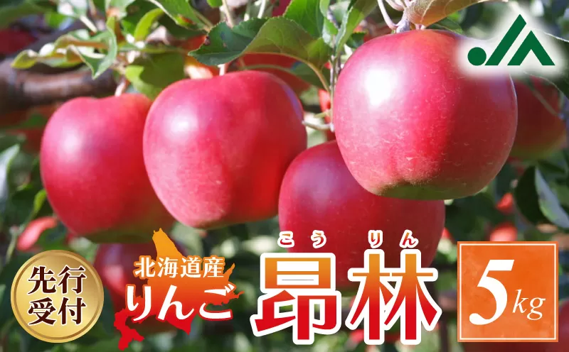 【先行受付：2026年10月中旬以降発送分】りんご（昂林）5kg_Y010-0661