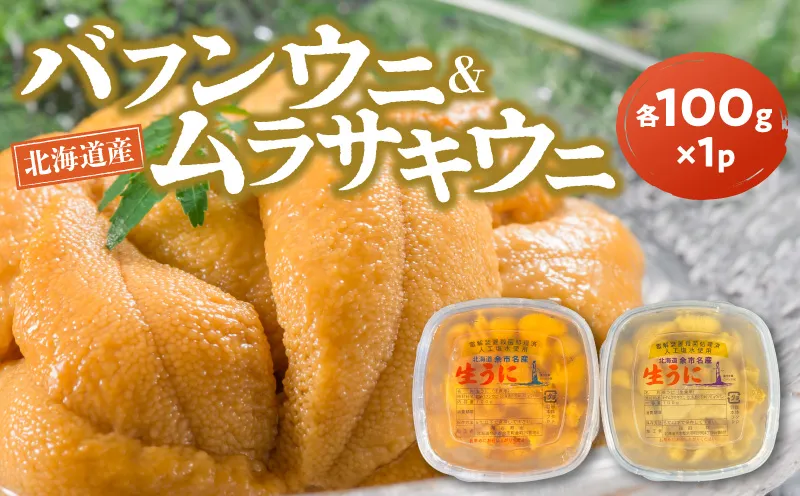 【2027年夏発送】塩水ウニ【バフンウニ&ムラサキウニ】各100g×1パック 北海道余市町産 冷蔵 生うに うに 海産物 魚介類 北海道産 余市産 とろける 濃厚 磯の風味 甘味 強い 香り 北海道 余市町_Y037-0358