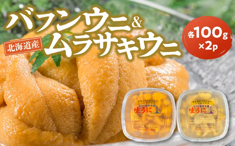 【2027年夏発送】塩水ウニ【バフンウニ&ムラサキウニ】各100g×2パック 北海道余市町産 塩水ウニ発祥の地 高級ウニ 高級雲丹 ムラサキウニ 白ウニ バフンウニ 赤うに 目利き 北海道産ウニ 余市産ウニ 雲丹 うに 塩水うに _Y037-0359