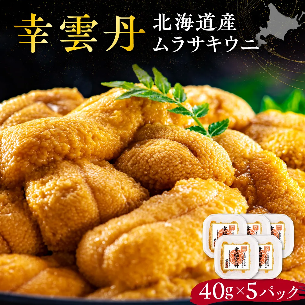 幸雲丹40g(ムラサキ 北海道産)5pc 北海道産 ムラサキウニ 無添加 ミョウバン不使用 生うに熟成製法 熨斗対応_Y038-0157