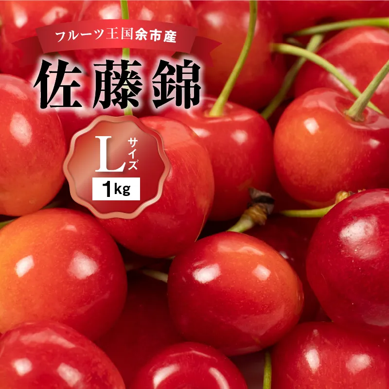 2026年発送【先行予約】令和8年産 佐藤錦【Lサイズ】500g×2【ニトリ観光果樹園】さくらんぼの王様 余市 北海道 フルーツ王国 さくらんぼ サクランボ 桜桃 佐藤錦 余市産さくらんぼ 人気さくらんぼ ニトリ_Y074-0135