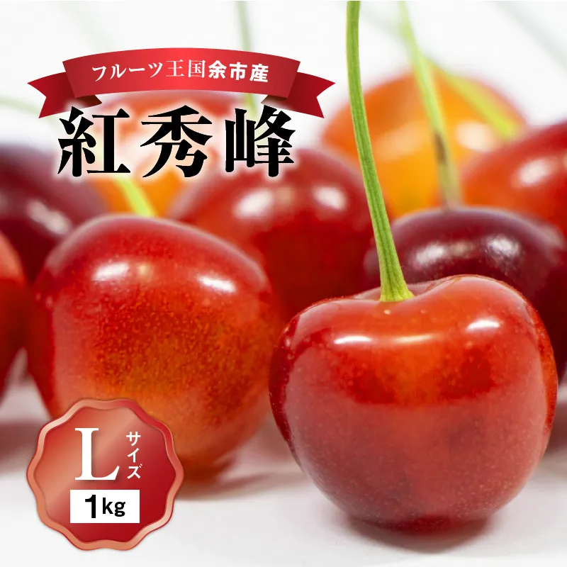 2026年発送【先行予約】令和8年産 紅秀峰【Lサイズ】500g×2【ニトリ観光果樹園】余市 北海道 フルーツ王国 さくらんぼ サクランボ 桜桃 紅秀峰 余市産さくらんぼ 人気さくらんぼ ニトリ_Y074-0139