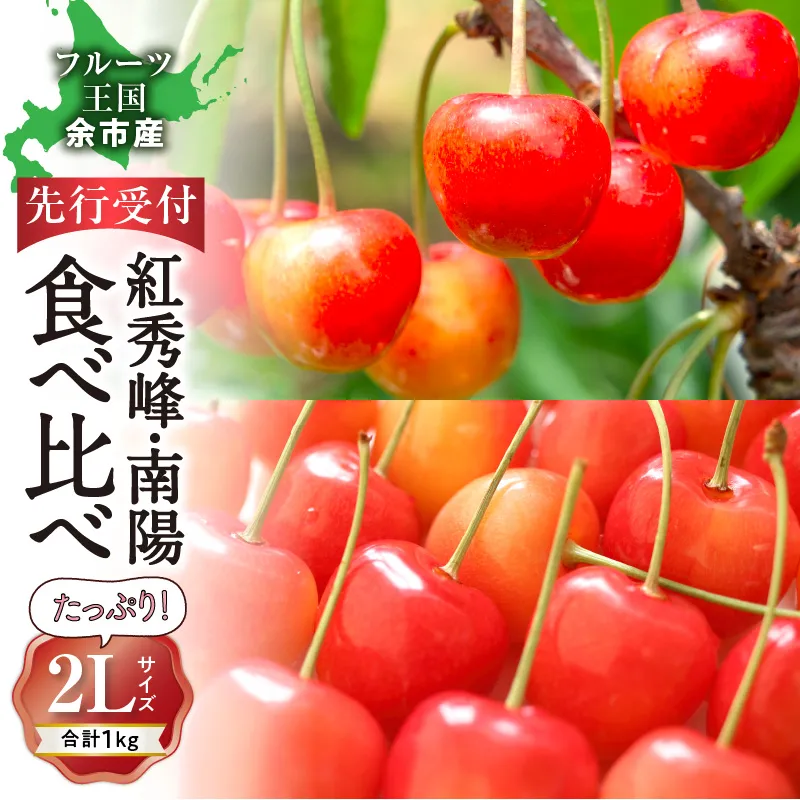 2026年発送【先行予約】令和8年産 紅秀峰南陽食べ比べ【2Lサイズ】各500g【ニトリ観光果樹園】余市 北海道 フルーツ王国 さくらんぼ サクランボ 桜桃 紅秀峰 南陽 食べ比べ 余市産さくらんぼ 人気さくらんぼ ニトリ_Y074-0141