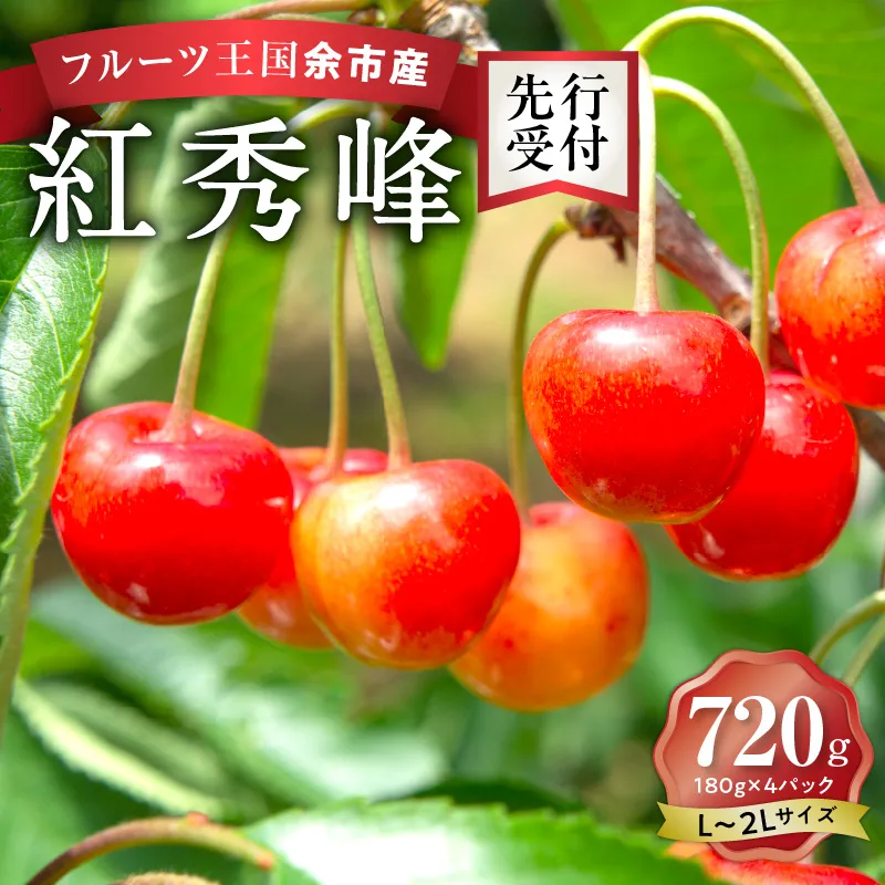 2026年発送【先行予約】令和8年産 紅秀峰【L～2Lバラ詰め】180g×4【ニトリ観光果樹園】余市 北海道 フルーツ王国 さくらんぼ サクランボ 桜桃 紅秀峰 余市産さくらんぼ 人気さくらんぼ ニトリ _Y074-0140