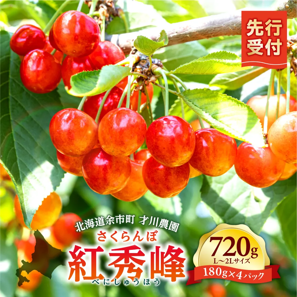 【先行予約：2026年7月上旬以降発送】北海道余市産 紅秀峰 720g L～2Lサイズ パリッと食感 才川農園 高糖度 完熟 大粒 濃厚な甘さ ギフト 送料無料_Y168-0002