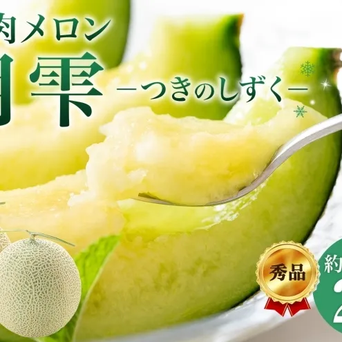 〈先行受付〉【2027年夏発送】北海道 青肉メロン 月雫 秀品 2玉 約1.6kg 計約3.2kg以上 令和9年 メロン 果物 フルーツ 旬 季節 希少 甘い 豊潤 国産 北海道産 デザート ご褒美 産地直送 ギフト お祝い 贈答品 贈り物 お取寄