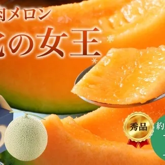 〈先行受付〉【2027年夏発送】北海道 赤肉メロン 北の女王 秀品 約1.6kg×1玉 令和9年 メロン 果物 フルーツ 旬 季節 希少 貴重 甘い 豊潤 国産 デザート ご褒美 産地直送 ギフト お祝い 贈答品 贈り物 お中元 常温