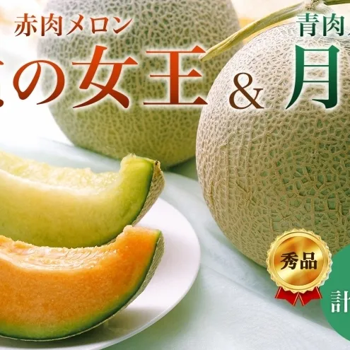 〈先行受付〉【2027年夏発送】北海道 赤肉メロン 北の女王 青肉メロン 月雫 秀品 約1.6kg 各2玉 令和9年 メロン 果物 フルーツ 旬 希少 甘い 豊潤 国産 ご褒美 産地直送 ギフト お祝い 贈答品 贈り物 お中元 常温 お取り寄せ