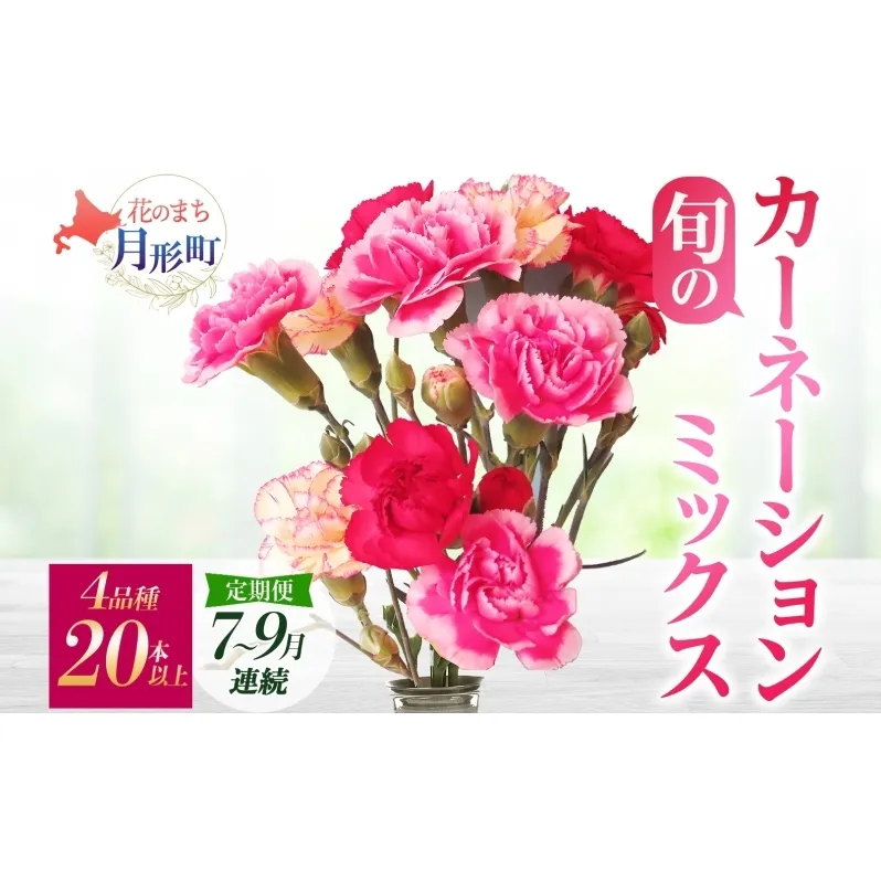 ＜2026年7月～9月まで3ヵ月連続お届け＞北海道 カーネーション ミックス 4品種 20本以上 花 花束 切花 ブーケ 旬 季節 生花 フラワー アレンジメント