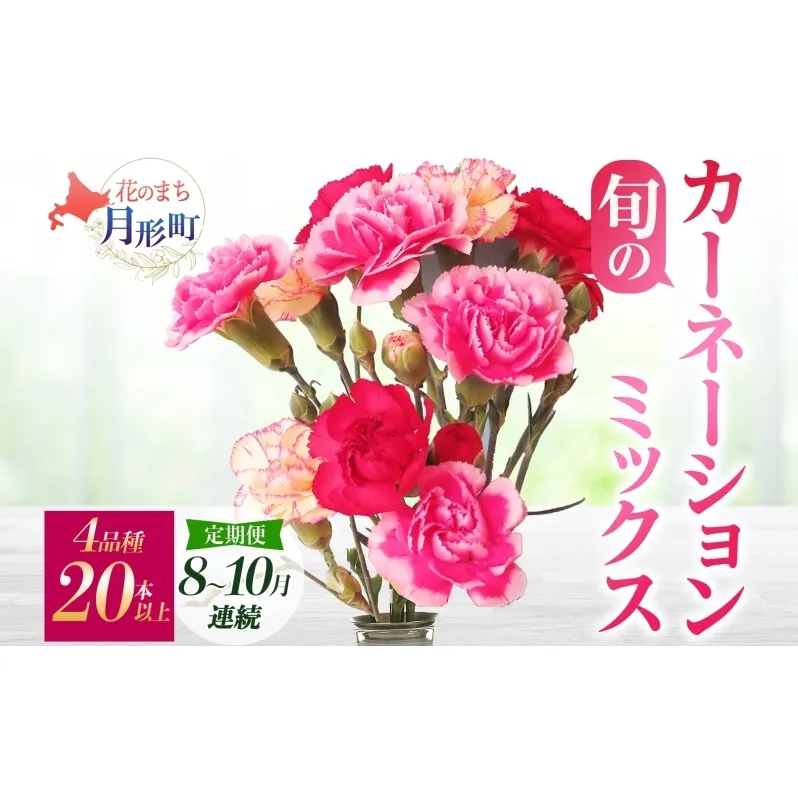 ＜2025年8月～10月まで3ヵ月連続お届け＞北海道 カーネーション ミックス 4品種 20本以上 花 花束 切花 ブーケ 旬 季節 生花 フラワー アレンジメント 